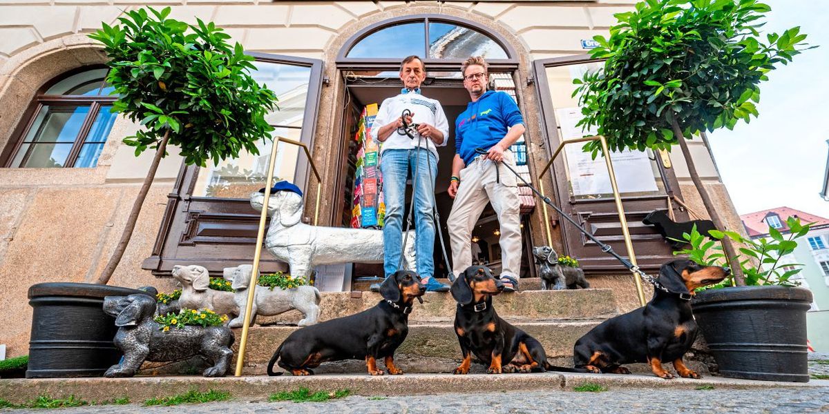 “Discover the World’s Largest Dachshund Collection at the New Museum in Regensburg”