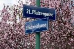 Unterwegs im Floridsdorfer Fußballerviertel: Auf den Spuren der Botaniker und des Wunderteams 21e70342 d1ad 47b2 96ff 796781afd934