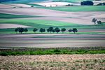 2026 brachte trockensten Frühling der österreichischen Messgeschichte d33b0565 4a84 4715 a95c 75721a984ccb