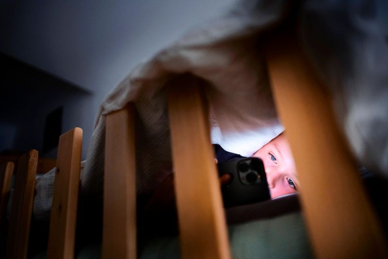 Rechnungshof empfiehlt Maßnahmen für sicheres Internet an Schulen