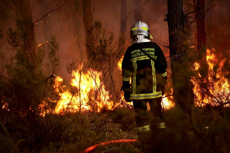 Ein Feuerwehrmann in Schutzkleidung steht vor einem Waldbrand, umgeben von Flammen und Funken in einer bewaldeten Gegend. Texthinweis auf der Rückseite der Kleidung: 