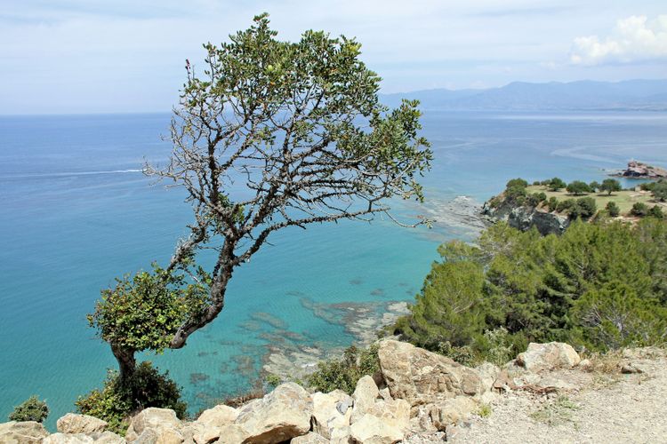 Das Meer beim Bad der Aphrodite im Westen Zyperns erinnert farblich an die Karibik.