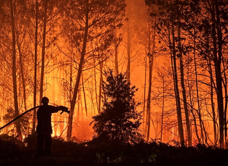Ein Feuerwehrmann hält einen Schlauch und bekämpft einen Waldbrand in einem brennenden, von Flammen erleuchteten Wald. Die Szene zeigt dichten Rauch und glühende Funken in der Nacht.