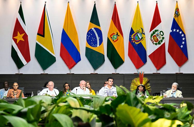Brasiliens Präsident Lula und weitere Vertreter der Amazonas-Arbeitsgruppe OTCA.