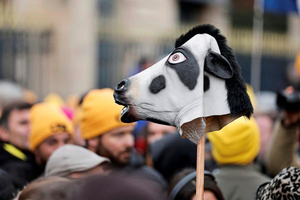 Der-umstrittene-Mercosur-Handelsdeal-ist-zum-Greifen-nah