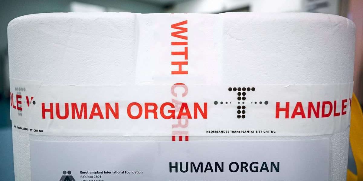 www.derstandard.at