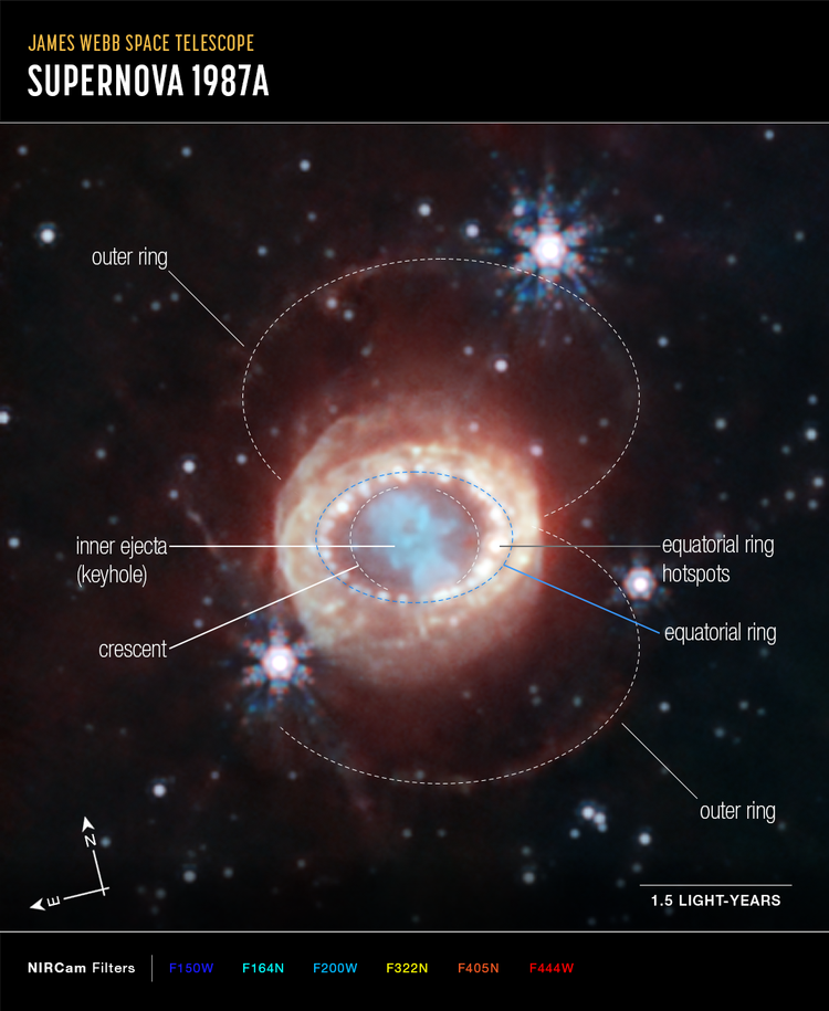 Das Webb-Bild der Supernova mit einigen Erklärungen.