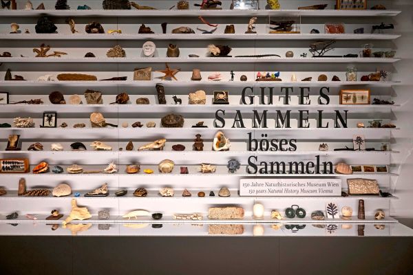 Das-Naturhistorische-Museum-schenkt-sich-eine-wildere-Ausstellung-die-auch-dunkle-Seiten-zeigen-soll