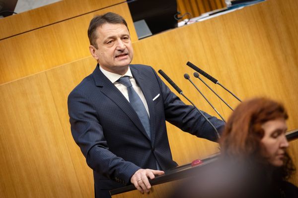 -vp-abgeordneter-f-rlinger-will-im-nationalrat-mittels-stimmavatar-sprechen