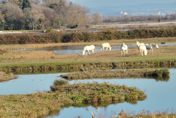 Die-sch-nsten-Urlaubsfotos-unserer-Userinnen-und-User-der-Woche