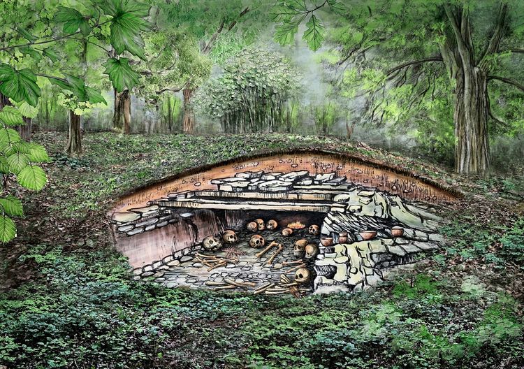 Künstlerische Darstellung eines prähistorischen Steingrabs in einem Wald. Das halb geöffnete Grab zeigt menschliche Schädel und Knochen, umgeben von Steinen und Keramikgefäßen. Die Szene symbolisiert eine gemeinschaftliche Begräbnisstätte um 3100 v. Chr. im heutigen Sorsum.
