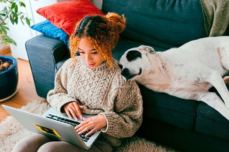 Junge Frau sitzt mit Laptop am Boden und ein Hund liegt neben ihr auf dem Sofa