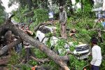 Mindestens 89 Tote durch Unwetter im Norden Indiens bb9bdb52 65fa 49d7 a9e4 c5a239262f8d