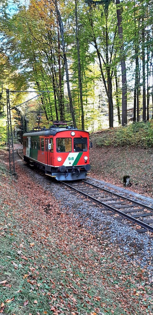 Der-Dschungelexpress-f-hrt-auch-2026