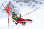 Österreich meldete sich im Riesentorlauf eindrucksvoll zurück 54bc812d b34c 4322 9fbd 5952fcb12532