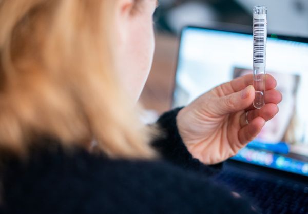 Foto: APA/GEORG HOCHMUTH