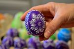 Eiermarkt in Österreich angespannt, aber "Ostern ist sicher" d8988b61 ace2 4645 8a39 905431e6661b