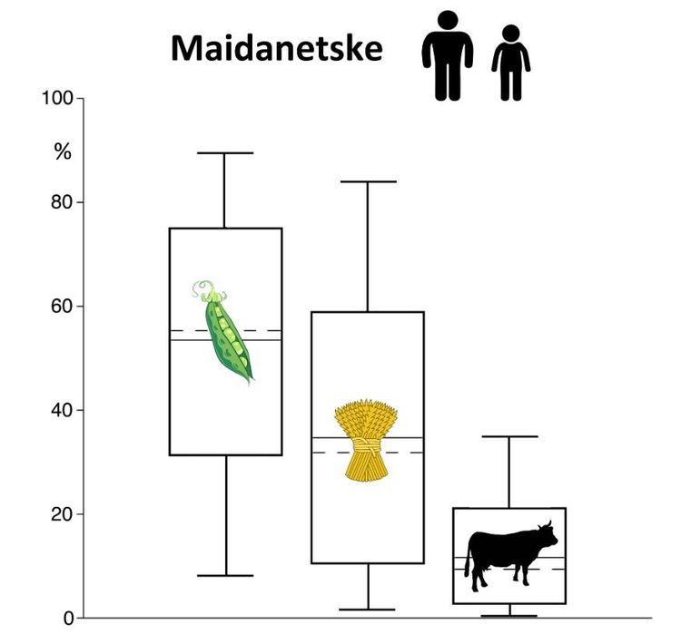 Grafik zeigt, dass die Menschen vor allem Hülsenfrüchte aßen, gefolgt von Getreide. Fleisch nahm eine untergeordnete Rolle in der Ernährung ein.