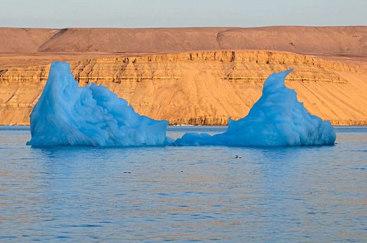 Eisberge vor kanadischer Küste