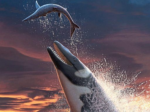 Monströser Meeressaurier in Marokko entdeckt Paläontologie