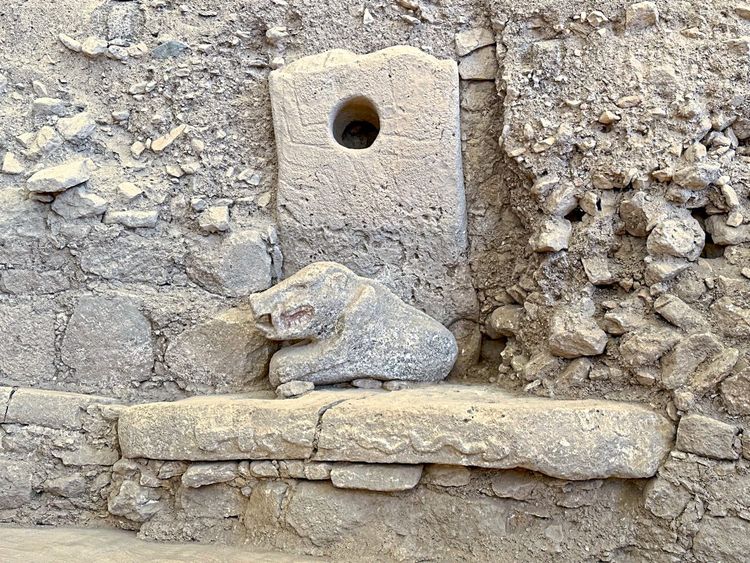 Steinskulptur eines Wildschweins mit großen Eckzähnen an der türkischen Fundstätte Göbekli Tepe. Der Keiler sitzt auf einer Steinbank, die mit einer Schlange verziert ist, hinter ihm sieht man eine Steinplatte mit einem großen Loch.