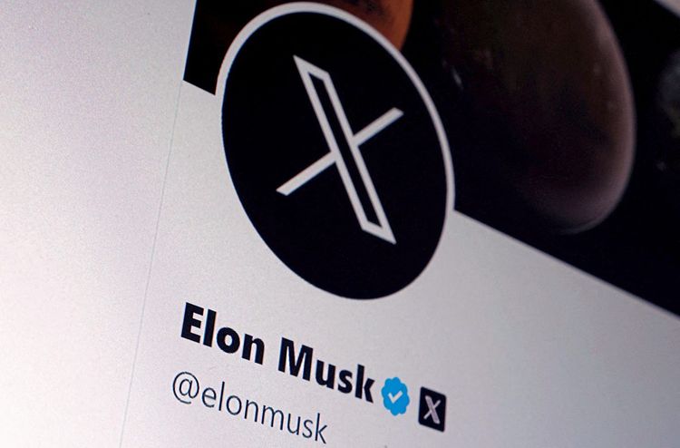 Musk's Profil auf X auf Bildschirm
