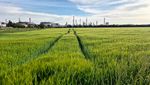 Ewigkeitschemikalien: Warum die Raffinerie Schwechat kein Einzelfall bleiben wird