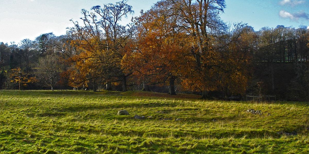 4.000 Jahre alte Pest-DNA in England entdeckt