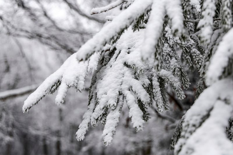 Winterdienst rüstet sich: Wo wird Schnee erwartet?