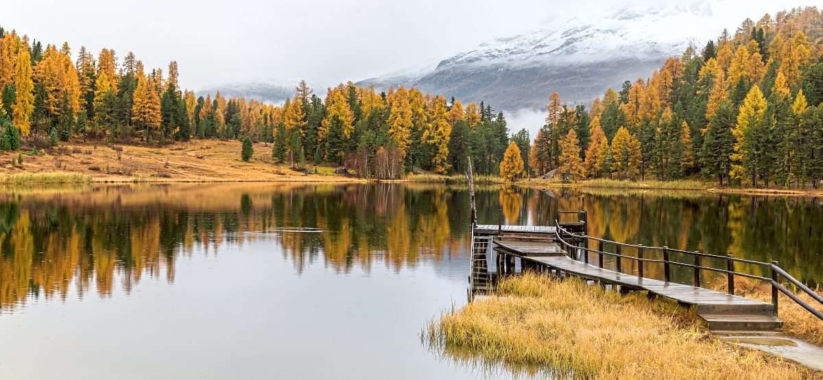 Audience with the Forest Queen of the Swiss Alps – Europe Travel