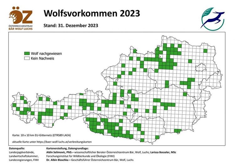 Grafik, eine Karte von Österreich, in der mit Punkten eingezeichnet ist, wo im Jahr 2023 Wölfe gesichtet wurden.