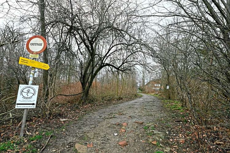 Waldweg in Wien-Hernals