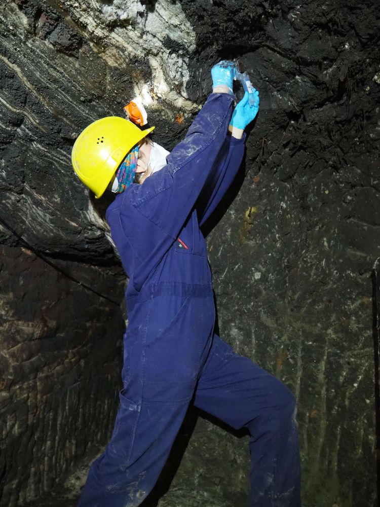 Forscherin in Blaumann mit gelbem Helm entnimmt an Höhlendecke Proben