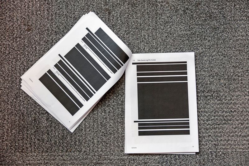 Stadt Wien schwärzt Dokumente zum ESC, die ungeschwärzt im Internet zu finden sind