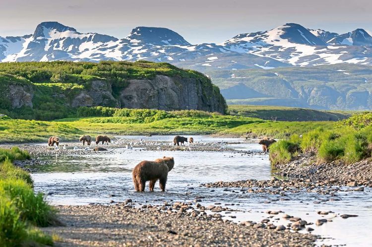 Landschaftsaufnahme Alaska