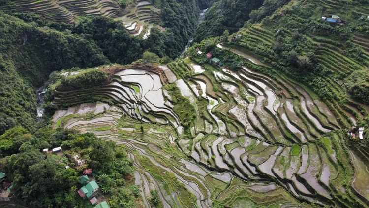 Anbei ein Foto von den 2.000 Jahre bestehenden Reisterrassen auf der Hauptinsel Luzon. Nach Erdrutschen dauerte die Reise über den höchsten Bergpass und schwer befahrbarer Straßen zu den Ifugao zwei Tage von Manila.