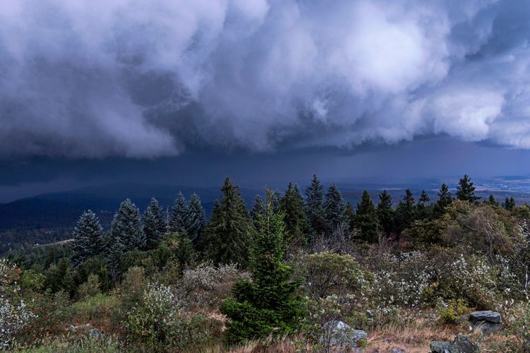Dunkle Gewitterwolken ziehen am Abend über den Großen Feldberg in Schmitten, Hessen, Deutschland, auf. Im Vordergrund ist ein bewaldeter Hang zu sehen.