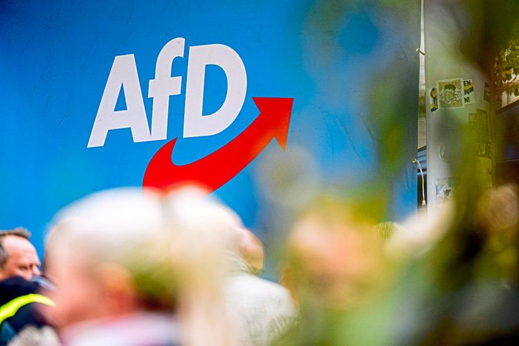 Welche Kultur will die AfD verteidigen?: The European
