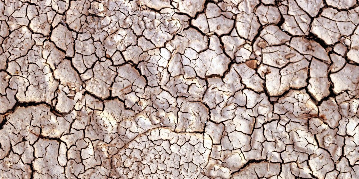 36 Grad, und es wird noch heißer ... - Vimarsana News