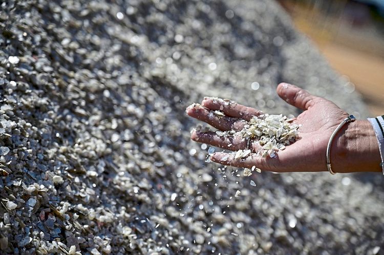 Brasilianischer Arbeiter im Bergbau hält Probe aus der Rohstoff-Gewinnung in der Hand.
