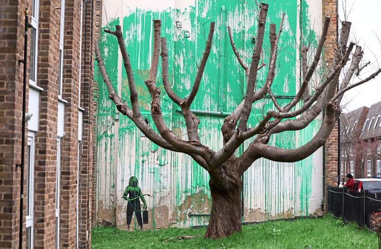 Banksys neuestes Werk: Blätterwerk für einen Baum in London.