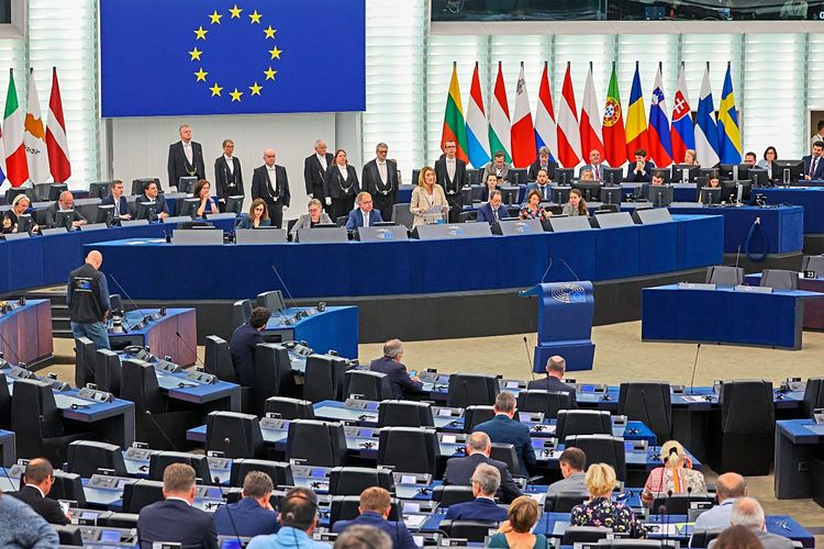 Entscheidung im EU-Parlament über Renaturierungsgesetz