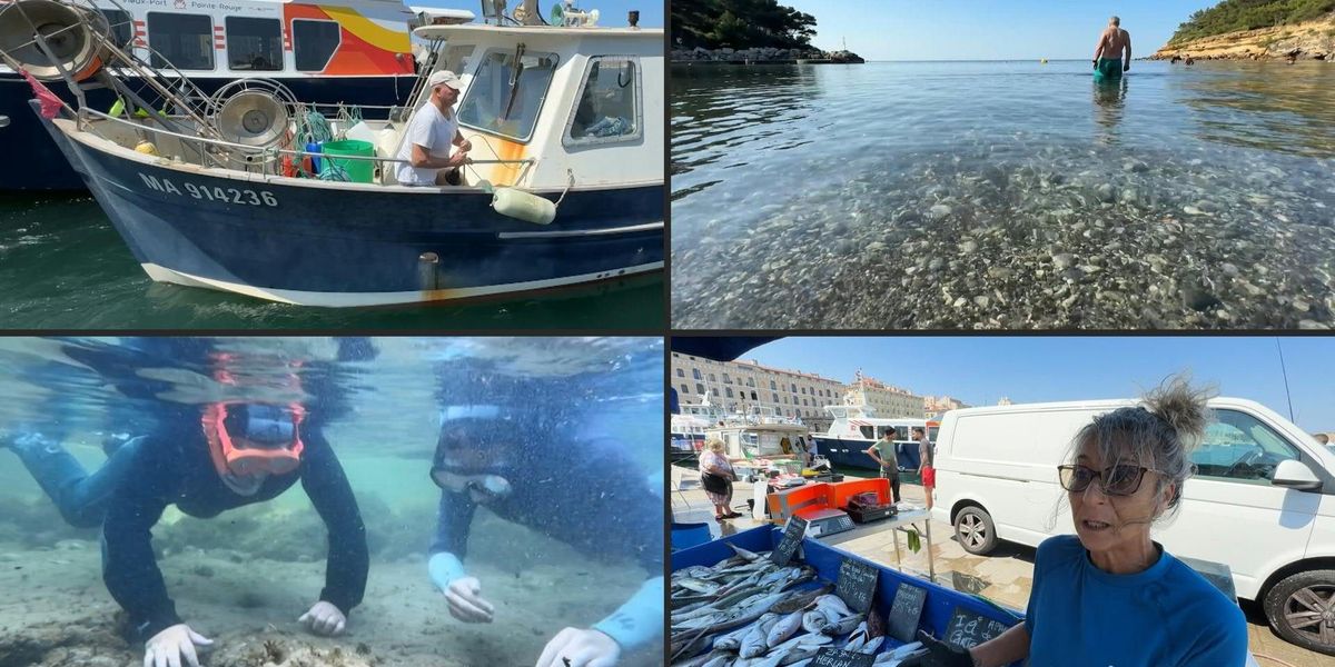 Lamar gatz onlyfans video like most tourists, she was