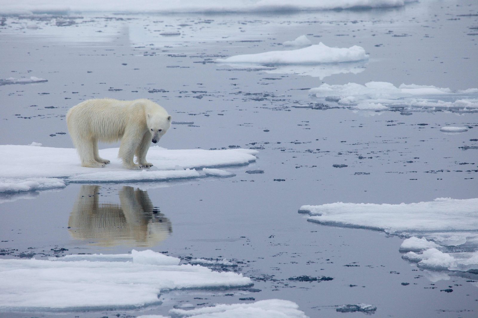 klimawandel-klimakrise-klimakatastrophe-wie-es-hei-en-sollte