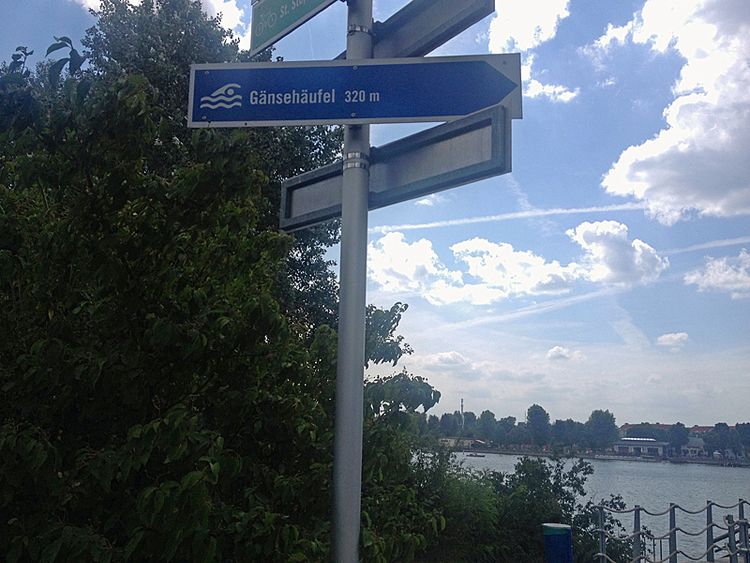 Der direkte Weg in Gänsehäufel Wien derStandard.at › Panorama