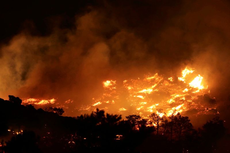Waldbrände in Urlaubsregionen auf Kreta und in der Türkei