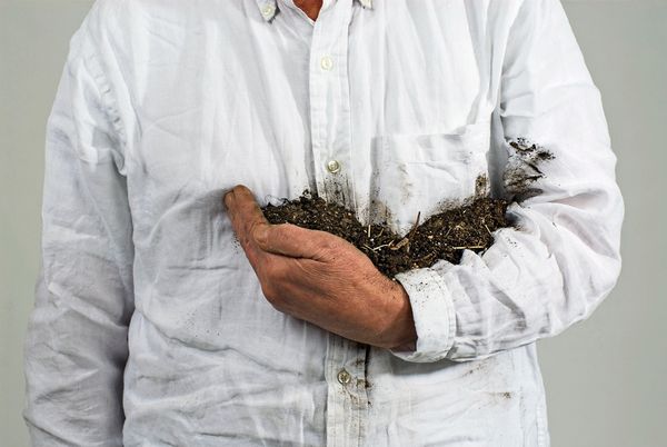 -Ruderal-Society-ber-Lois-Weinberger-Der-Feldarbeiter-als-Poet