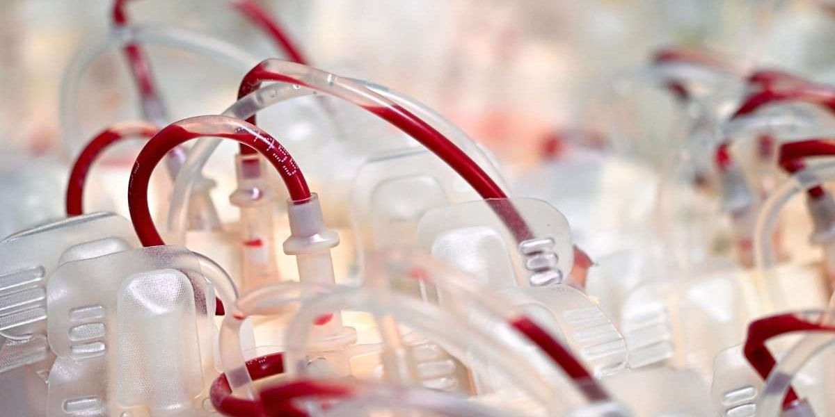 Mit aufgepeppten Blutstammzellen zu verträglichen Therapien
