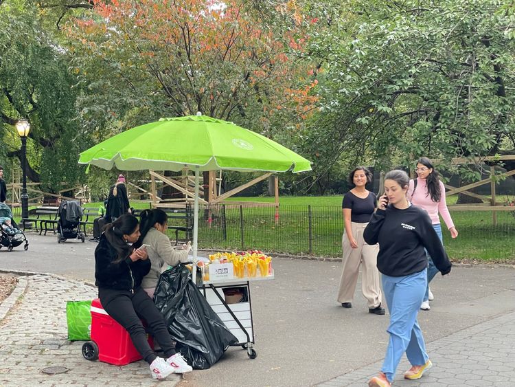 Früchte werden im Central Park und an Straßenecken von Migranten angeboten.