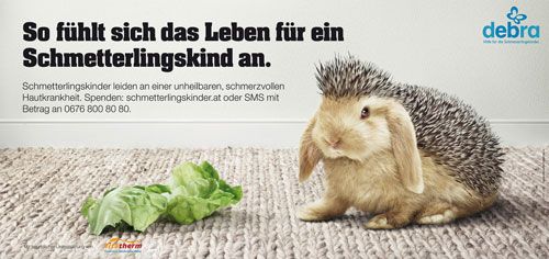 Komm Ich Zeig Dir Einen Richtigen Hasen Werbung Lowe GGK macht aus dem Hasen einen Igel - Werbung - derStandard.at › Etat